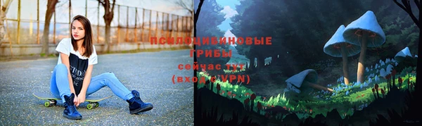 дмт Алексин