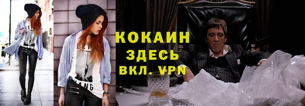 прущие грибы Пересвет