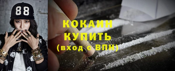 прущие грибы Пересвет
