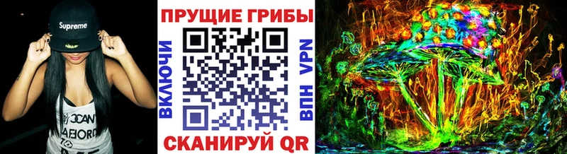 блэк спрут онион  как найти   Карабаш  Псилоцибиновые грибы мухоморы 